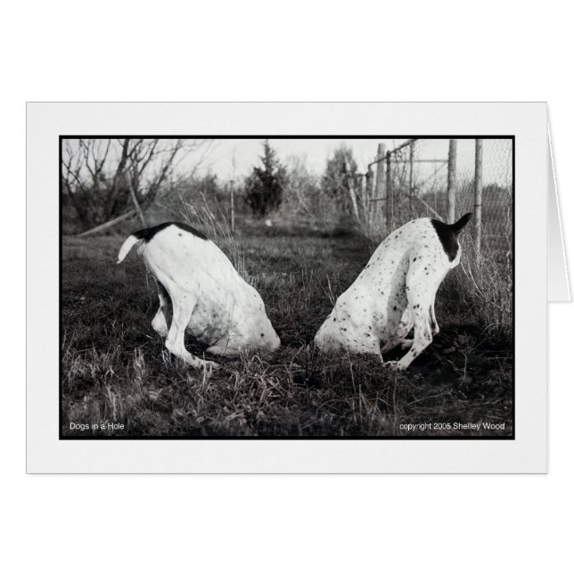 HUNDAR i HÅL Hälsningskort (Framsidan Horizontal)
