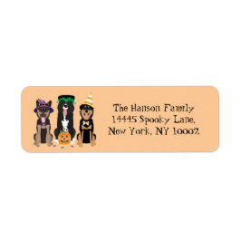 Hundar i Halloween Costumes Returadress Etikett