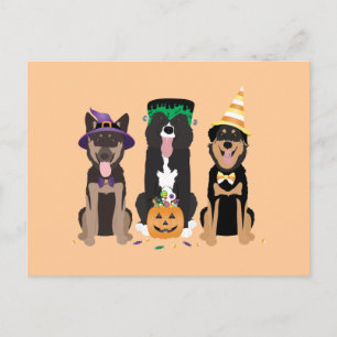 Hundar i Halloween Costumes Vykort