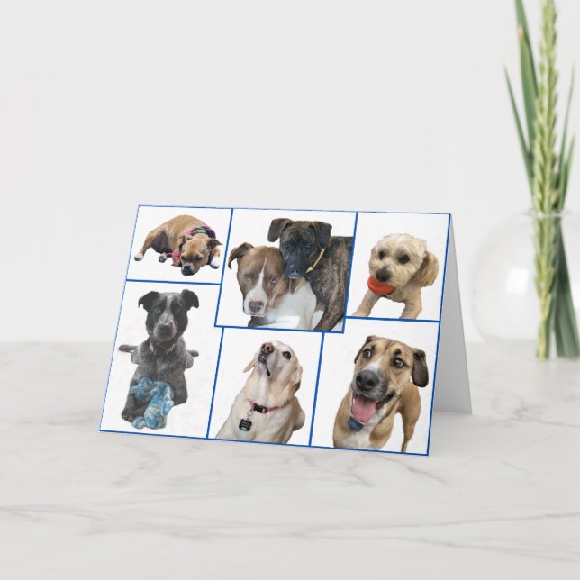 Hundar i Johnston County Kort (Framsida)