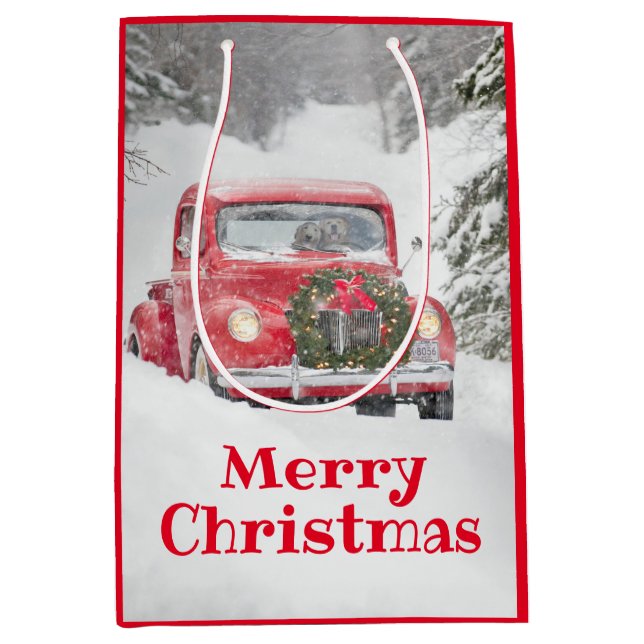 Hundar i Lastbil (Framsidan)