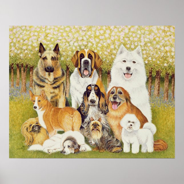 Hundar i maj poster (Framsidan)