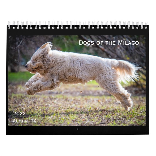 Hundar i Milago-kalendern Kalender (Omslag)