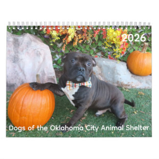 Hundar i Oklahoma City Animal Shelter Calendar Kalender