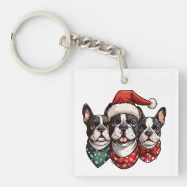 Hundar, Jul Boston Terrier