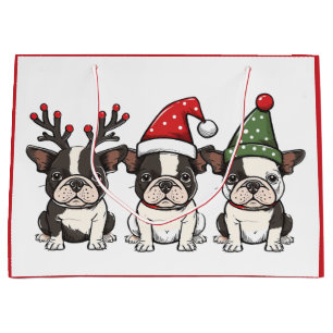 Hundar, Jul Boston Terrier
