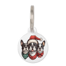 Hundar, Jul Boston Terrier
