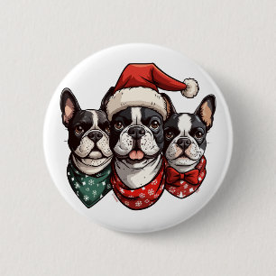 Hundar, Jul Boston Terrier Knapp