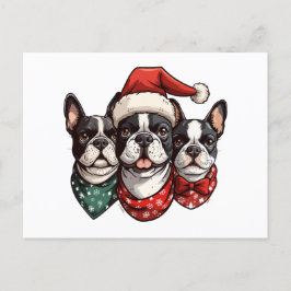 Hundar, Jul Boston Terrier Vykort