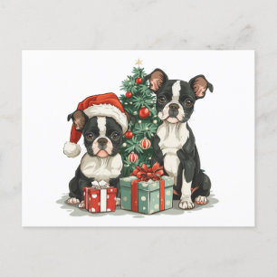 Hundar, Jul Boston Terrier Vykort