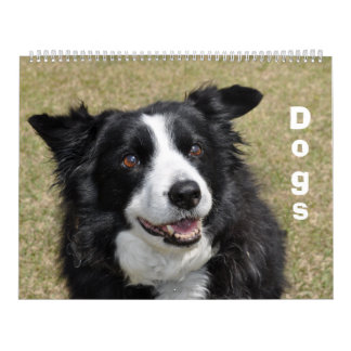 Hundar Kalender