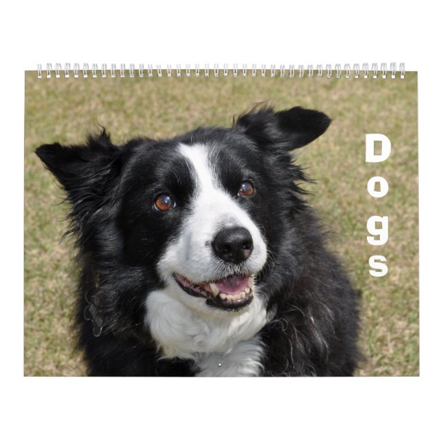 Hundar Kalender (Omslag)