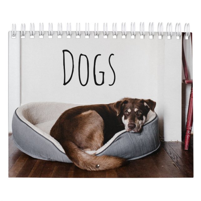 Hundar Kalender (Omslag)