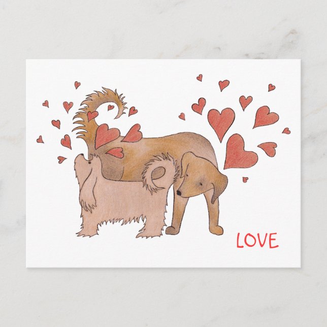Hundar Kärlek Vykort (Framsida)