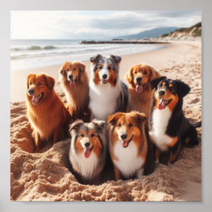 hundar leker på stranden på sommaren poster