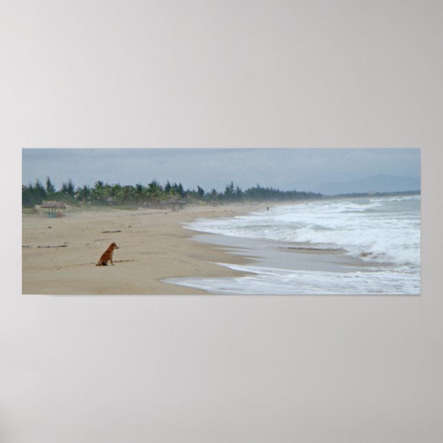 Hundar Life Poster (Framsidan)