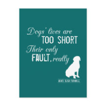 Hundar Lives är för Kort, deras enda fel Verkligen
