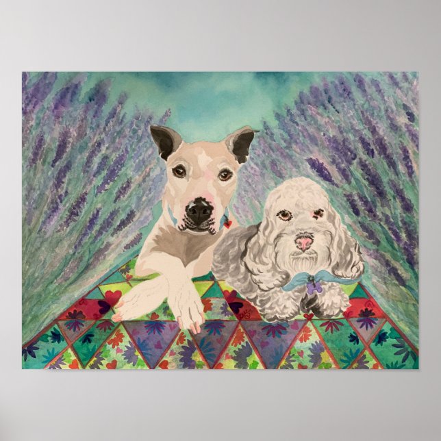 Hundar med vätska i lavender fält poster (Framsidan)