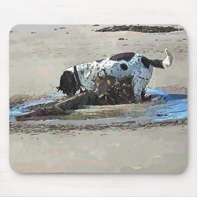 HUNDAR MUSMATTA (Framsidan)