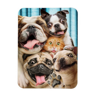 Hundar och ett Cat Group Photo Magnet