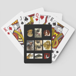 Hundar och katter av många raser, klassiska spelko casinokort