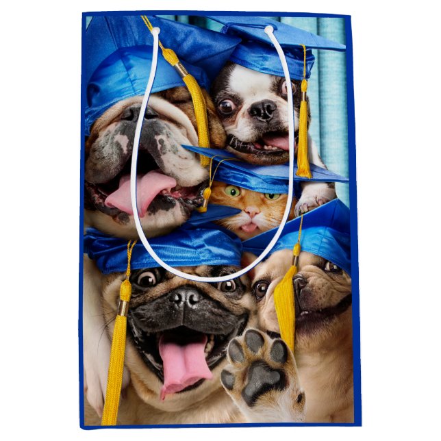 Hundar och kattutexaminerade i fotobås (Framsidan)