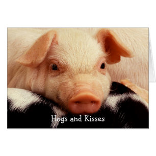 Hundar och kisses hälsningskort