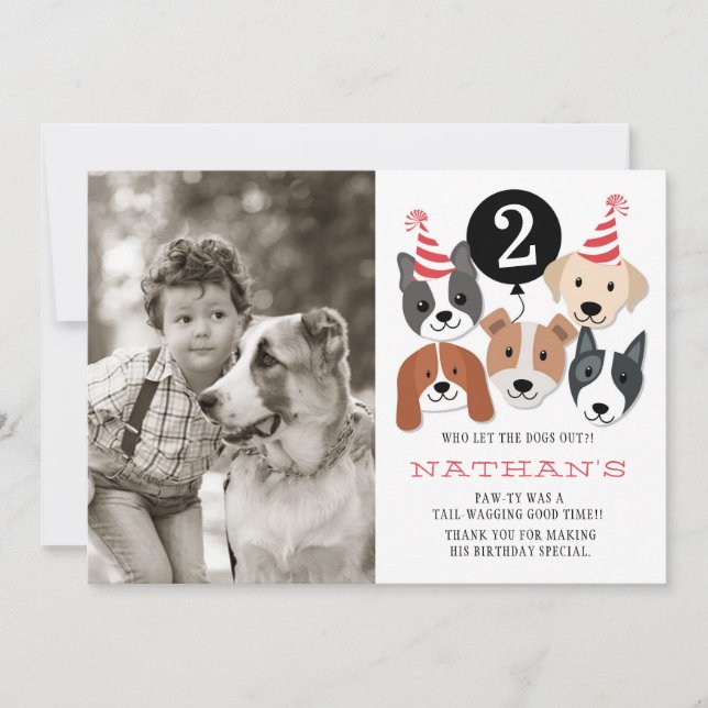 Hundar och svartballongfotoet tackar dig att card tack kort (Framsida)