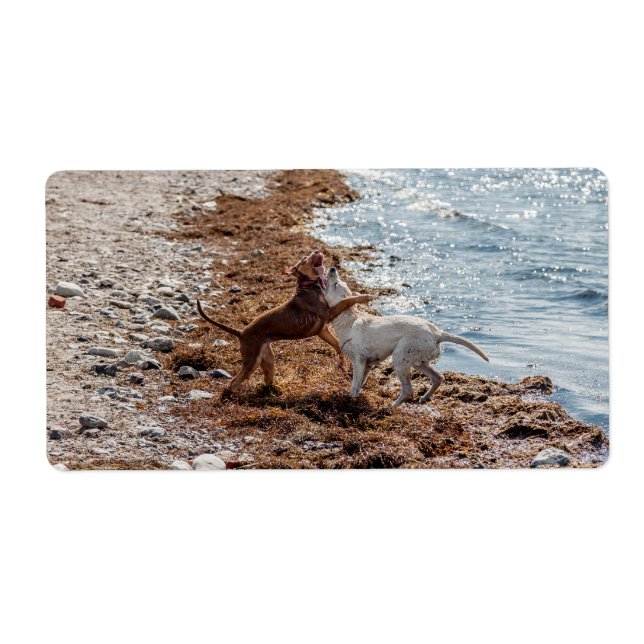 Hundar på stranden fraktsedel (Framsidan)