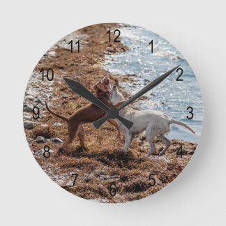 Hundar på stranden rund klocka