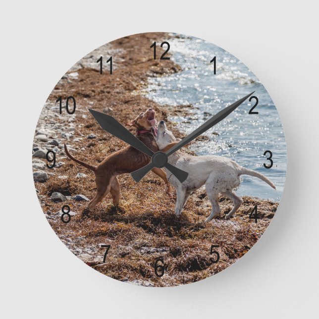 Hundar på stranden rund klocka (Framsida)