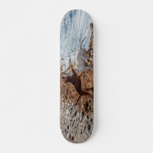 Hundar på stranden skateboard bräda 20 cm