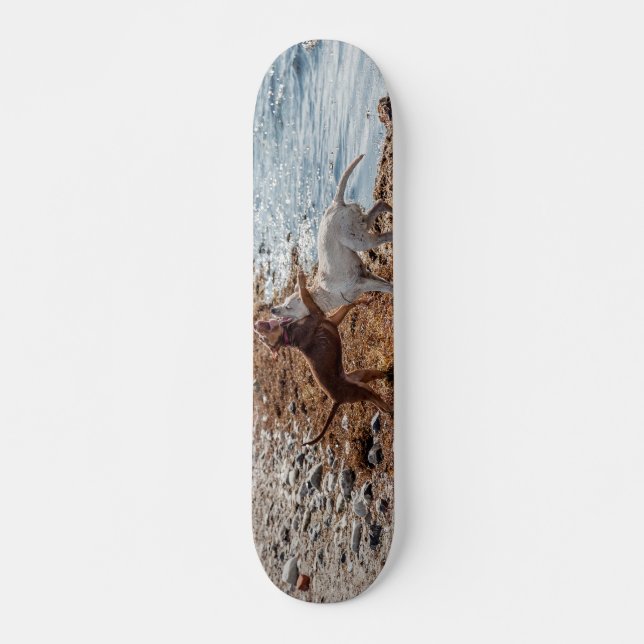 Hundar på stranden skateboard bräda 20 cm (Framsida)