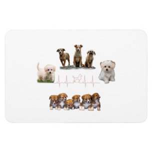Hundar paket, paket, Lena Hund Magnet