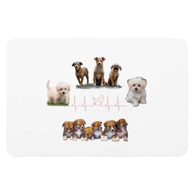 Hundar paket, paket, Lena Hund Magnet (Horisontell)