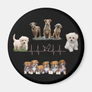 Hundar paket, paket, Lena Hund Magnet