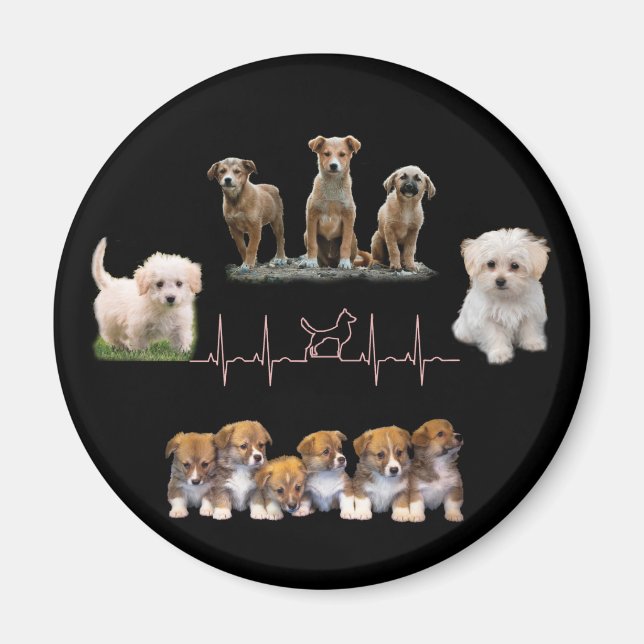 Hundar paket, paket, Lena Hund Magnet (Framsidan)