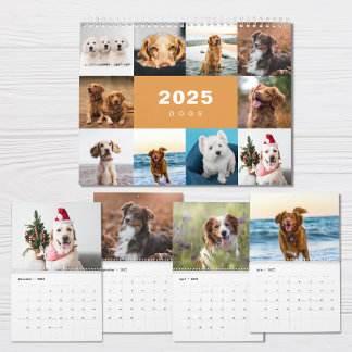 Hundar Photo Collage Modern 2025-kalender Kalender