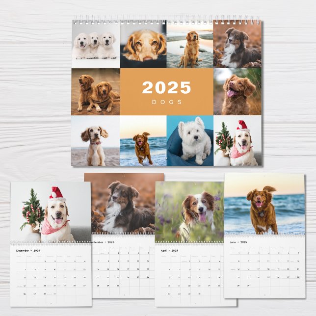 Hundar Photo Collage Modern 2025-kalender Kalender (Skapare uppladdad)