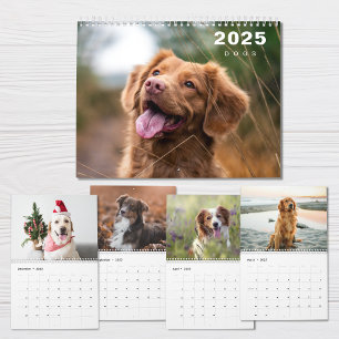 Hundar Photo Collage Modern 2025-kalender Kalender