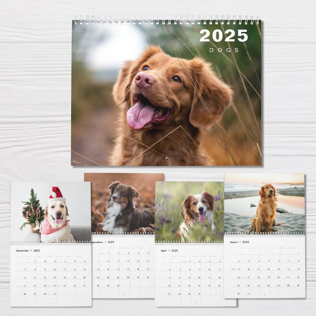 Hundar Photo Collage Modern 2025-kalender Kalender (Skapare uppladdad)