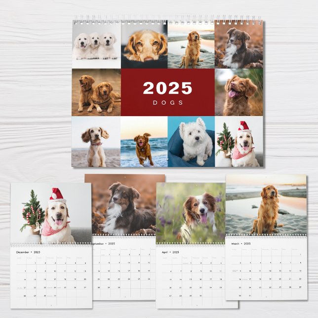 Hundar Photo Collage Modern 2025-kalender Kalender (Skapare uppladdad)