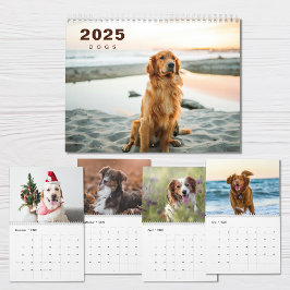 Hundar Photo Collage Modern 2025-kalender Kalender