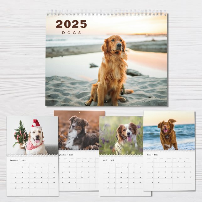 Hundar Photo Collage Modern 2025-kalender Kalender (Skapare uppladdad)