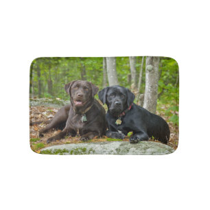 Hundar Puppies Svart lab Chocolate Labrador Retrie Badrumsmatta