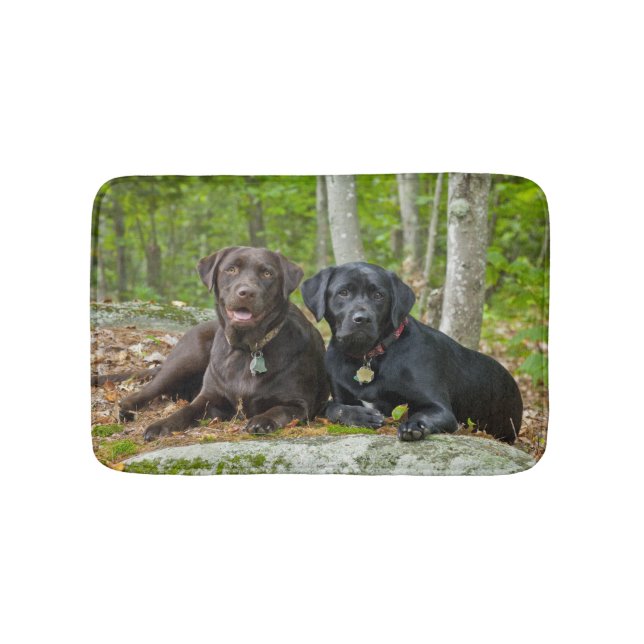 Hundar Puppies Svart lab Chocolate Labrador Retrie Badrumsmatta (Framsidan)