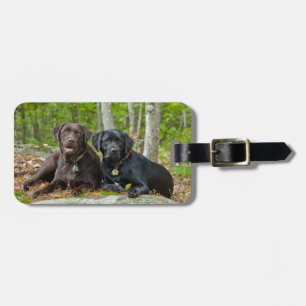 Hundar Puppies Svart lab Chocolate Labrador Retrie Bagagebricka