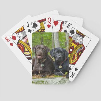 Hundar Puppies Svart lab Chocolate Labrador Retrie Casinokort
