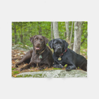 Hundar Puppies Svart lab Chocolate Labrador Retrie Fleecefilt