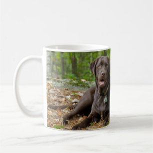 Hundar Puppies Svart lab Chocolate Labrador Retrie Kaffemugg